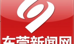 东莞社会新闻爆料网站,聚焦热点事件，解码城市脉搏