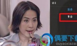 国语视频在线播放观看,畅享视听盛宴，尽在指尖流转